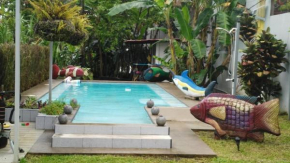 Casa Sophia 3 listings Apartment 1 or Apartment 2 separately or Apt 1 and 2 together all with FO internet